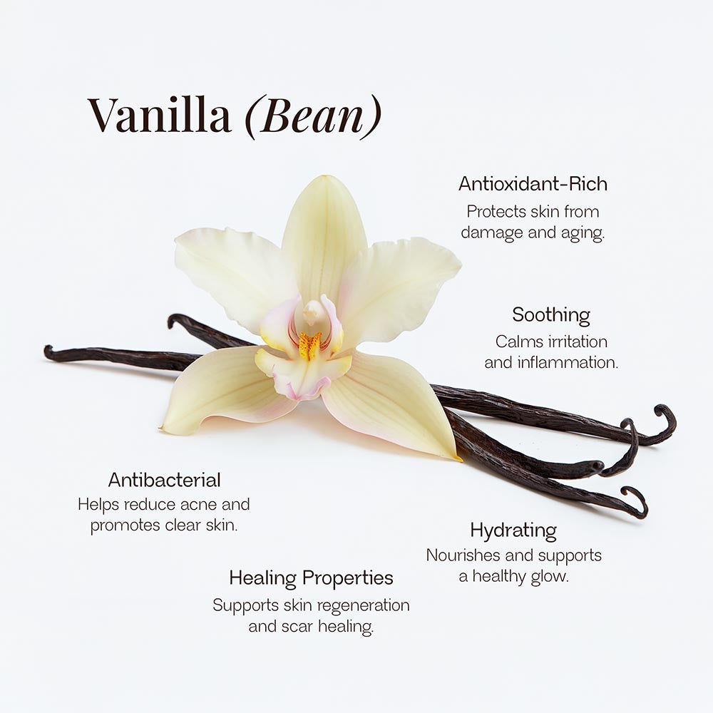 Whipped Tallow Cream-The Softness Ritual