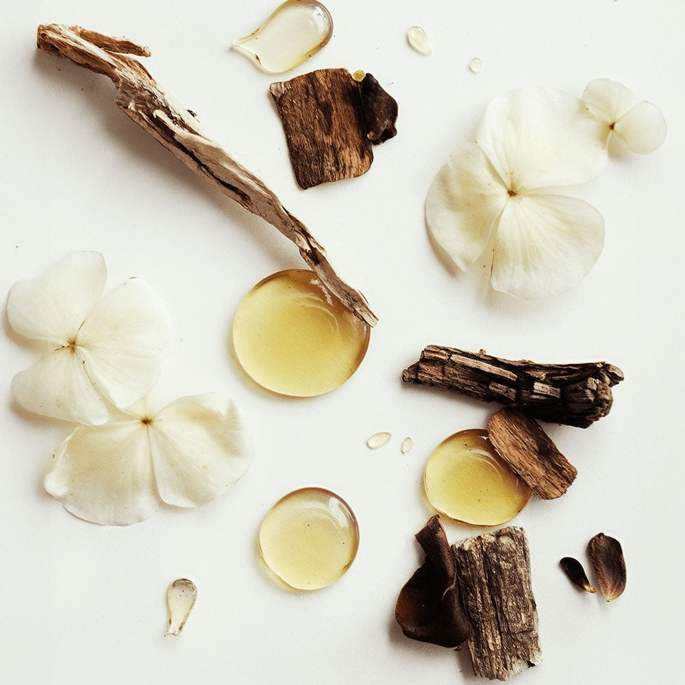 Whipped Tallow Cream-The Softness Ritual